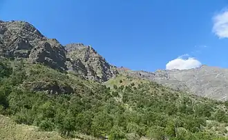 Chilean Matorral, an evergreen sclerophyllous scrubland