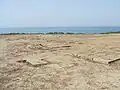 Agora