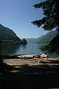 View of Cameron Lake from shore