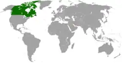 Map indicating locations of Canada and Qatar