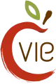Logo used from 2008 to 2016