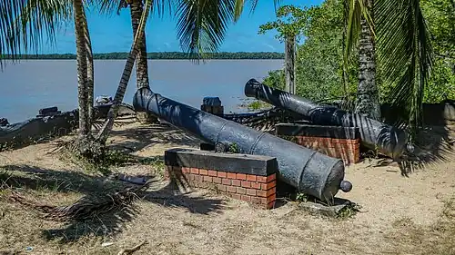 Cannon near the fort