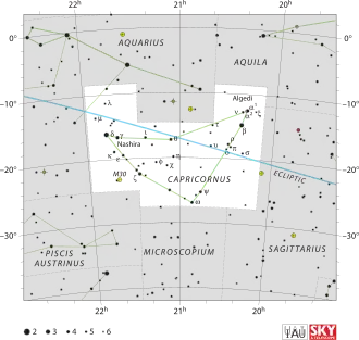 Capricornus
