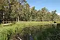 View of one of the wetlands in the park