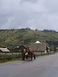Local horse-drawn cart