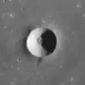 Carlini D