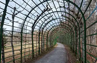 Passage in the park