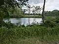View from the Cayuga-Seneca Canal Trail.
