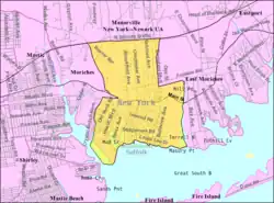 U.S. Census map
