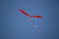 Color and tail toy kite