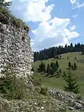 Oratea Fortress&nbsp;[ro] in Podu Dâmboviței, where Vlad the Impaler was once imprisoned