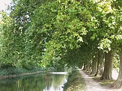 Photo of the Canal d'Orléans at Chécy