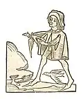 Book V, chapter 33. Celidonius – Stone in the stomac of swallows
