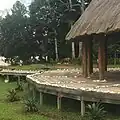 Horses near the cabin
