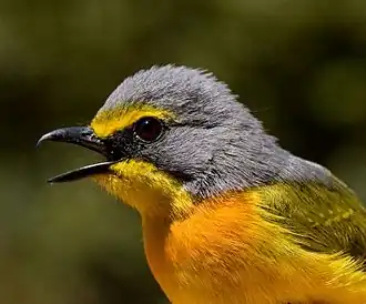At Polokwane Game Reserve, Limpopo