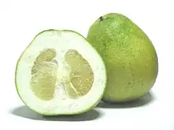Fruit