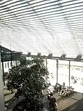 Tree of Knowledge