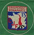 Insignia of CJF 13 (first model).