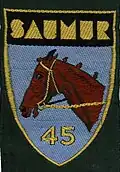 Insignia of CJF 45 (second model).