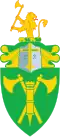 Chief of the Norwegian Home Guard
