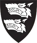 Combat Squadron