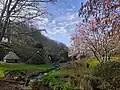 Spring in the garden of Conservatoire botanique national de Brest