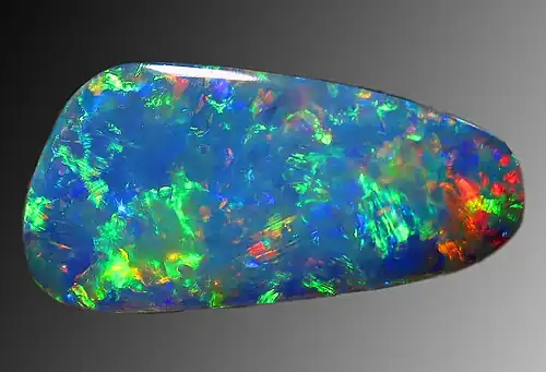 Opal can include microfossil diatoms, radiolarians, silicoflagellates and ebridians[71]