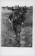 7th Marine Regiment patrol