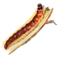 Illustrated caterpillar