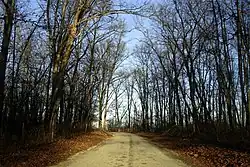 A country road in Adamsboro.