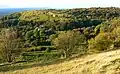 Crickley Hill