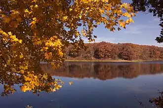 Lake