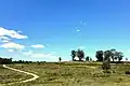Shale Plains with walking track