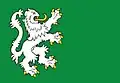 Flag of Děhylov