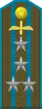 Captain Commander