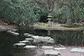 Japanese Glade