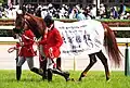 After winning the Tokyo Yushun