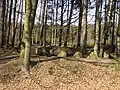 Dassendorf Riesenbett in the southern Sachsenwald