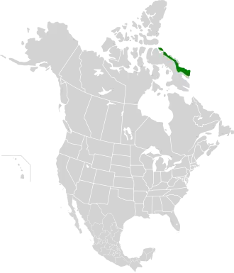 Ecoregion territory (in purple)