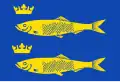 Flag of De Rijp