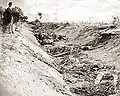 Dead Confederates in the "Bloody Lane" road.