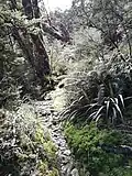 Deadmans Track