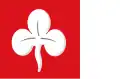 Flag of Deersum