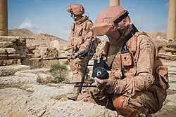Close view of desert EMR