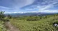 Denali visible from the Kesugi Ridge Trail, July 2023