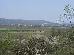 Livada