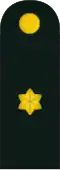 Major (Royal Danish Army)[29]