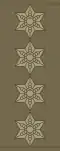 Field uniform (2018–present)