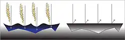 "desertification diagram"