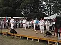 Folklore group during folklore festival